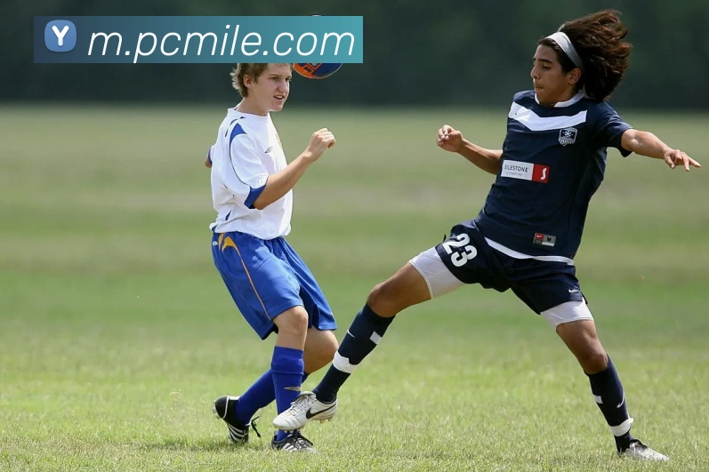 米乐m6服务体系